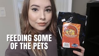 FEEDING SOME PETS + Doing other stuff lol by Emma Lynne Sampson