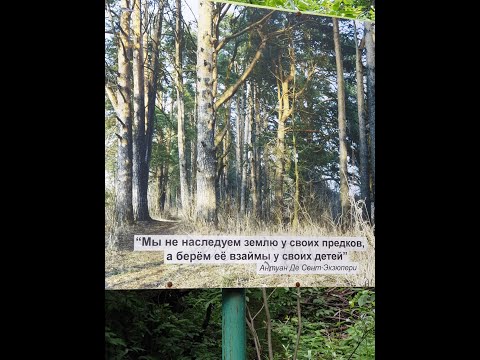 Заречный парк. Тропа Здоровья.Выходные с пользой.