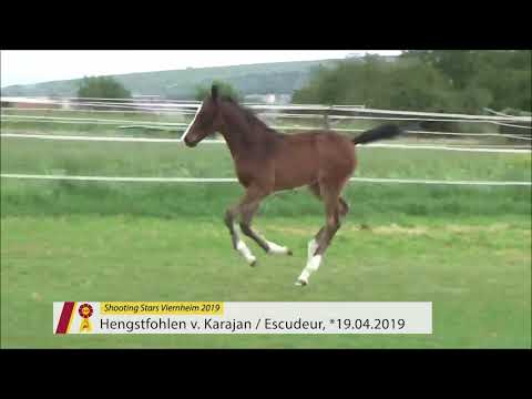 HF v. Karajan/Escudeur