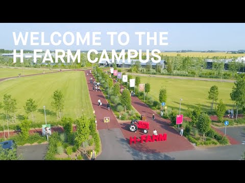 Play Video Youtube Video