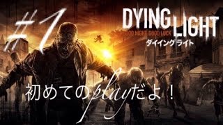 「Dying Light」初めてplayして行きま～す!
