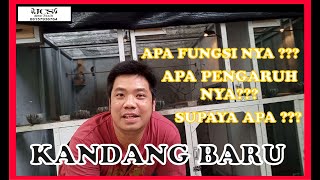 Download lagu MATAHARI PERLU ATAU TIDAK UNTUK PETERNAK MURAI BATU mp3