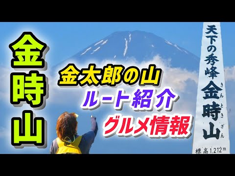 金時山 絶景の富士山と金太郎の力自慢を味わえる山