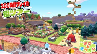 【島紹介】気付いたら200時間経ってたぽこポケ街ツアー〜パサパサこうや編〜【ぽこあポケモン】