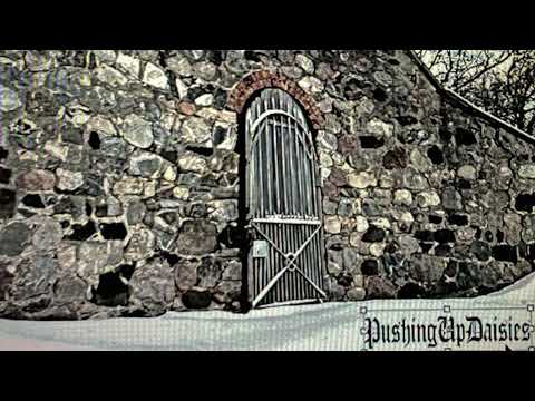 [FREE] BONES x DEERGOD 90s BOOM BAP SESH TYPE BEAT | “CRACKED”