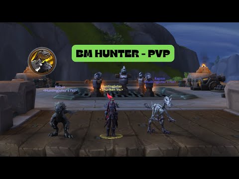 BM Hunter 11.2 -  PVP Arena PUSH 9/23/25