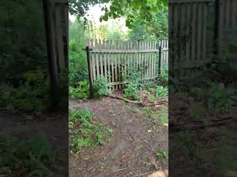 Roczny ogród permakulturowy - bez podlewania