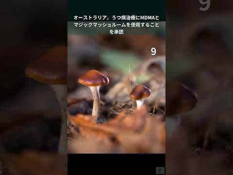 うつ病に対して:研究によると、マジックマッシュルームの有効成分は有望です