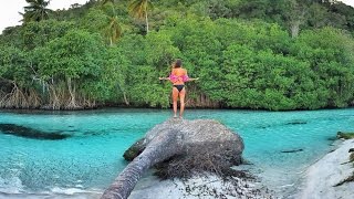 Una Increible Aventura en Samaná! – Dominican Tree House Village y Zipline