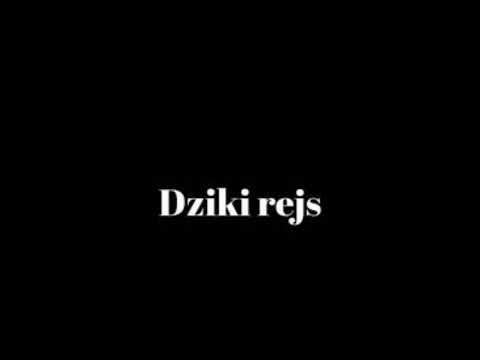 Dziki rejs