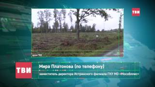 Комитет лесного хозяйства Московской области Московская область
