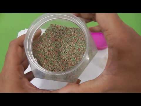download lagu mp3 mp4 Little Fish Food, download lagu Little Fish Food gratis, unduh video klip Little Fish Food