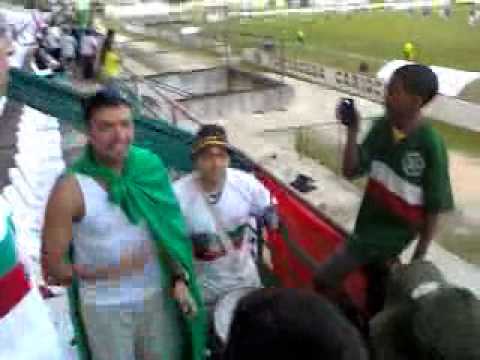 Los Locos de la Brava Raça