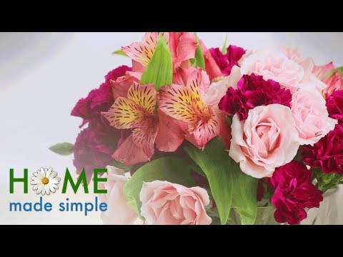 download lagu mp3 mp4 Design Home App Stuck On Arranging, download lagu Design Home App Stuck On Arranging gratis, unduh video klip Design Home App Stuck On Arranging