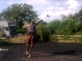 Barney Pony