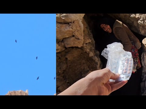 The Story of Turan and Mohammad: A Symbol of Forgiveness and Solidarity