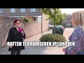Inwoners Veldhoven radeloos door rattenplaag