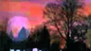 Widows In Black- Graveyard Apostles