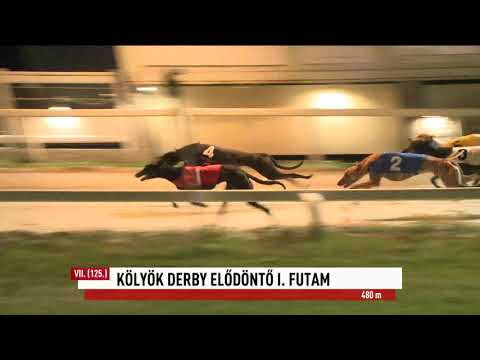 2023.09.29. 7. Futam - Kölyök Derby Elődöntő I. futam