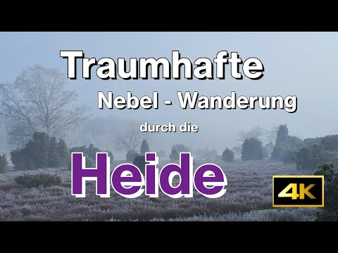 Traumhafte Heide Wanderung durch Nebel und mit Gipfelbesteigung | Lüneburger Heide  - Südheide | 4K