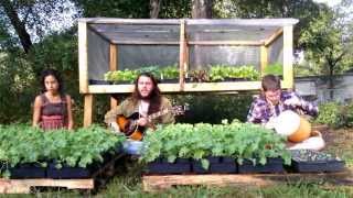 Morning Musical Interlude Amongst the Seedlings with Brother Bear and Family at Amrit Yoga Institute