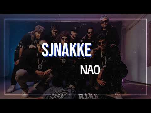 De Roerdassen ft. B.I.N.K. - Sjnakke Nao