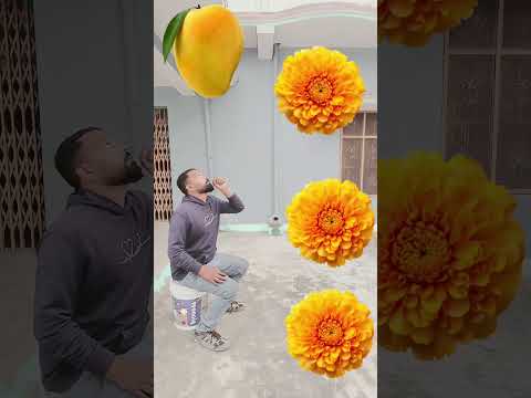 mango banana apple lichi 🥭🍌🍎🍓#funny#shorts