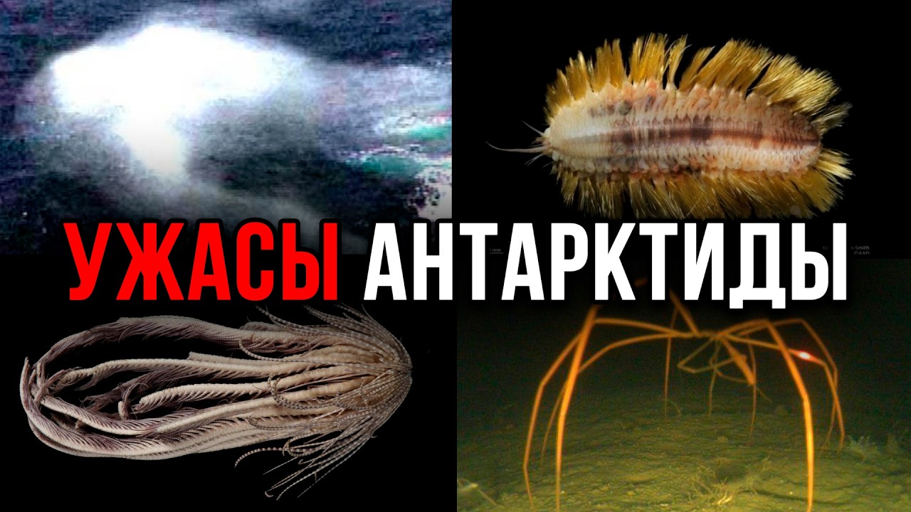 Айсберг УЖАСОВ АНТАРКТИДЫ