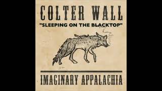 Sleeping on the Blacktop - colter wall