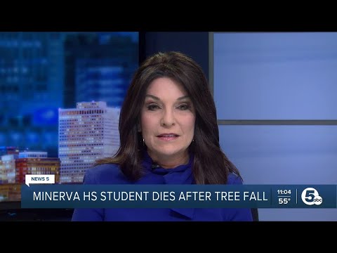 Student dies following accident at OHSAA Eastern District cross country meet