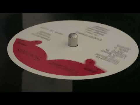 BRIGGY LEVI ~ Everything + Version (BOBBY ZARO ~ Argentina, B Side)