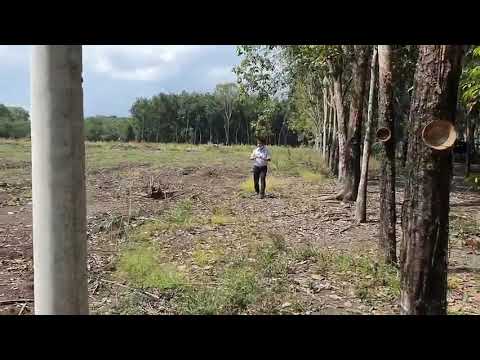 Đất nền Hớn Quản 756b Thổ cư, Gía Sỉ đầu tư , Vị trí đẹp. Nhanh tăng giá, dễ tha