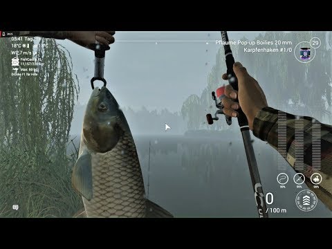 The Fisherman Folge 29 Endlich Level 50 !