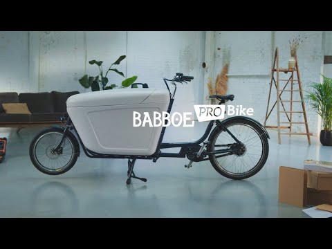 The Babboe Pro Bike
