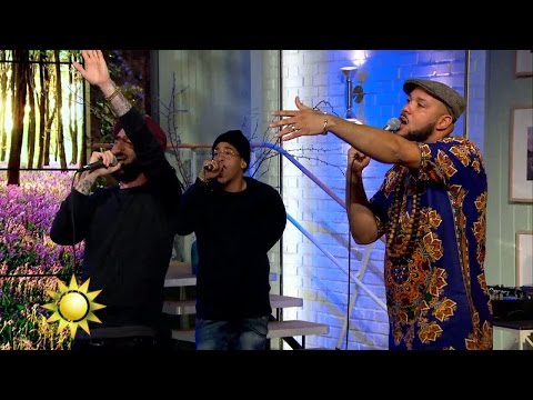 Går på moln - Lyckliga Gatan - Nyhetsmorgon (TV4)