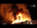 Duizenden kippen komen om bij grote brand in Nijkerk