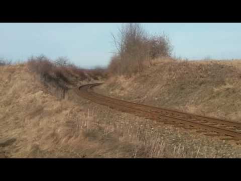 810 313-7 v Příčině u přejezdu