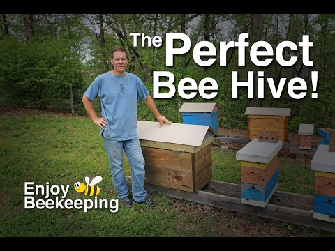, title : 'The Perfect Bee Hive April 2020