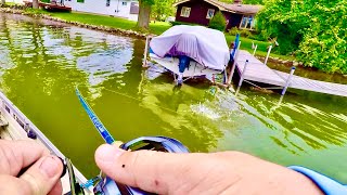 Catching these Shallow Water Bass was a BLAST!