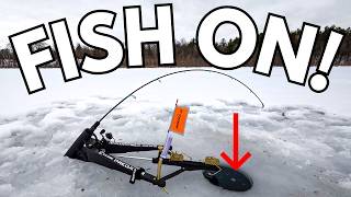 I Put These Automatic Hook-Setters to the Ultimate Multi-Species Test! (Tiny To Big Fish!)
