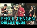 Download Lagu Cak Percil Pengen Dielus Mp3 Free