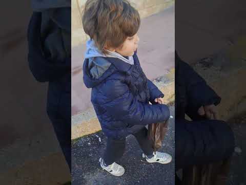 هابابا شو محضر جنطتك #shotrs #funny #اكسبلور