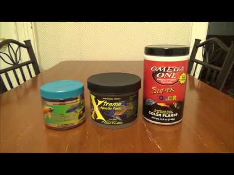 FISH FOOD REVIEW!! What I feed my African Cichlids