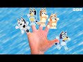 Bluey Finger Family Song CBeebies