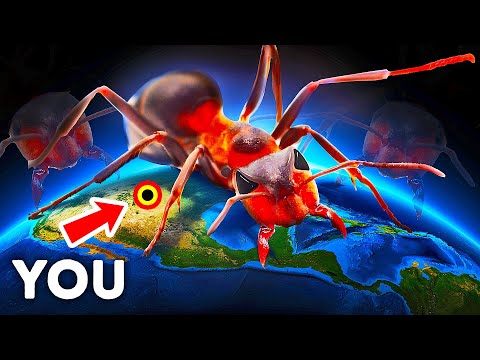 What If Giant Fire Ants Overtook the City and You Must Stop Them