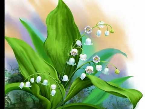 { Diamonds } Inna -Tom Boxer . Mike Diamondz - Dancing Mega Mix  season finale 2012 part 1 - g10