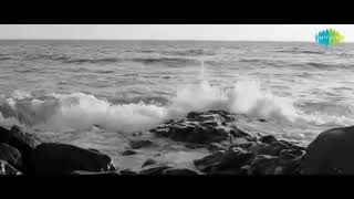 WAQT NE KIYA - A beautiful tribute to Rishi Kapoor by Amitabh Bachchan ...