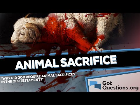 Why did God require animal sacrifices in the Old Testament?  |  GotQuestions.org