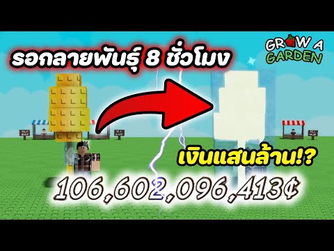 กลายพันธุ์ 8 ชม. = เงินแสนล้าน!? | Grow a Garden