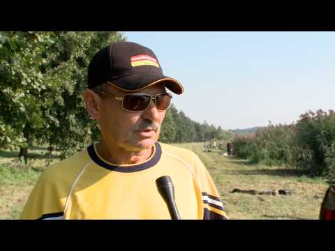 KanizsaTV Híradó - Kapás